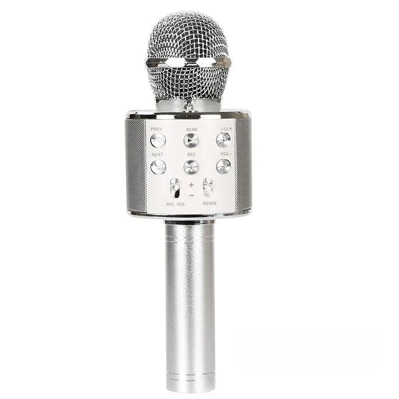 Wireless Bluetooth Karaoke Microphone for Kids, 5-in-1 Portable Handheld Karaoke Mic Speaker Player Recorder with FM Radio