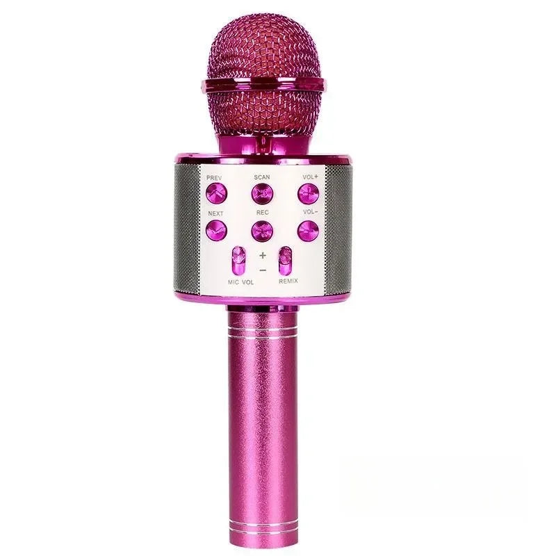 Wireless Bluetooth Karaoke Microphone for Kids, 5-in-1 Portable Handheld Karaoke Mic Speaker Player Recorder with  FM Radio