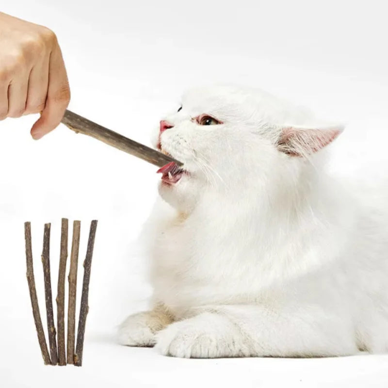 Natural Grass Chew Sticks for Cats Kitten Gift Catnip Cat Oral Cleaning Stick Pet Products Cat Teething Toys Chat Accessories
