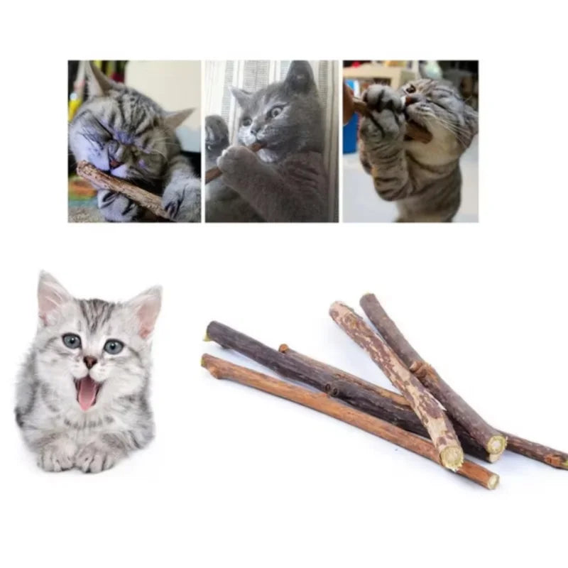 Natural Grass Chew Sticks for Cats Kitten Gift Catnip Cat Oral Cleaning Stick Pet Products Cat Teething Toys Chat Accessories